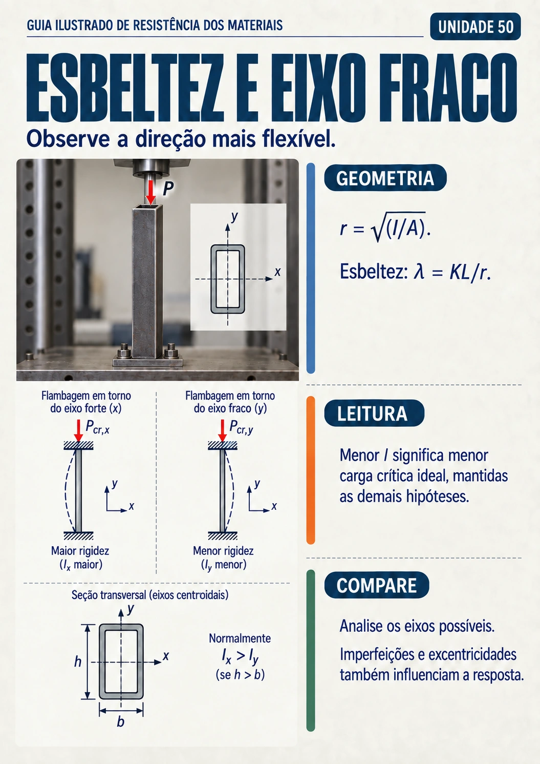 Prévia 6
